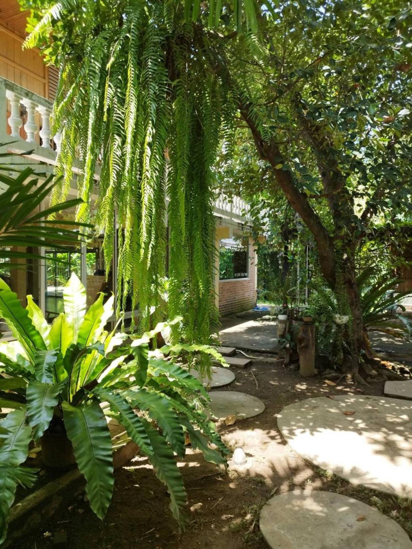 Hotel Atelier 36 Čiang Mai Exteriér fotografie